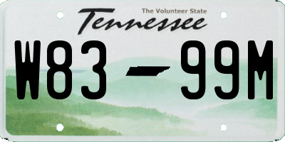 TN license plate W8399M