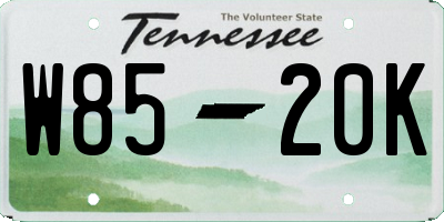 TN license plate W8520K