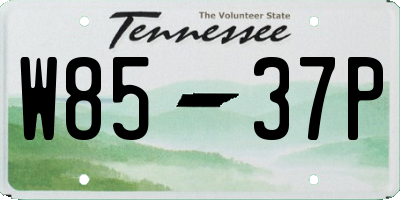 TN license plate W8537P