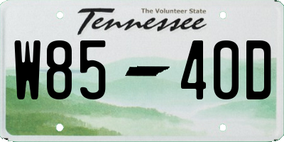 TN license plate W8540D