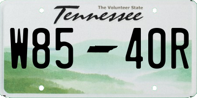 TN license plate W8540R
