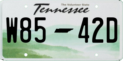 TN license plate W8542D