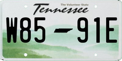 TN license plate W8591E