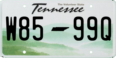 TN license plate W8599Q