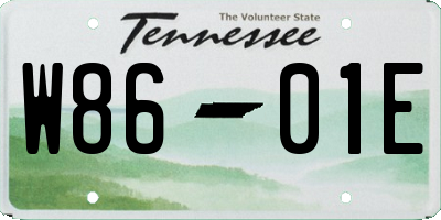 TN license plate W8601E