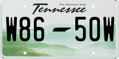 TN license plate W8650W