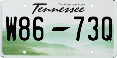 TN license plate W8673Q