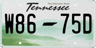 TN license plate W8675D
