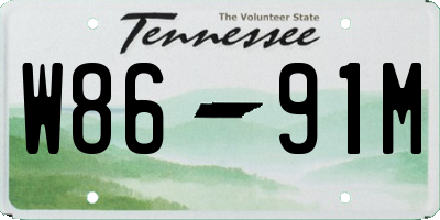 TN license plate W8691M