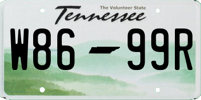 TN license plate W8699R