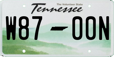 TN license plate W8700N