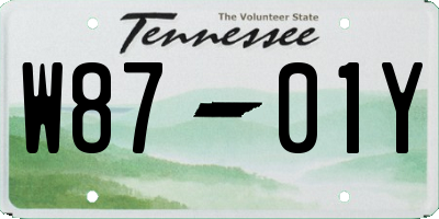 TN license plate W8701Y