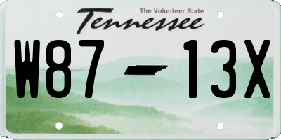 TN license plate W8713X