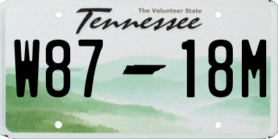 TN license plate W8718M