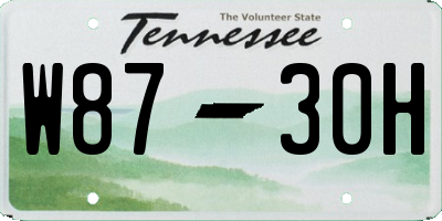 TN license plate W8730H