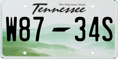 TN license plate W8734S