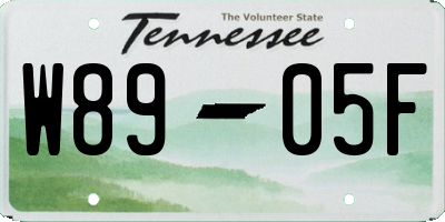 TN license plate W8905F