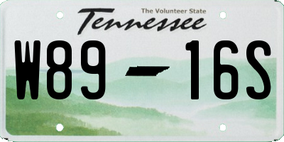 TN license plate W8916S