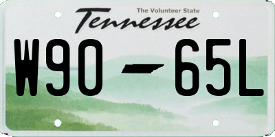TN license plate W9065L
