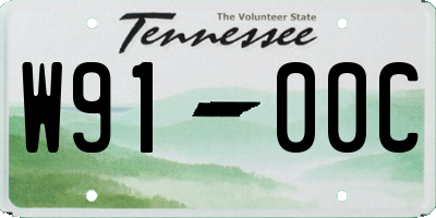 TN license plate W9100C