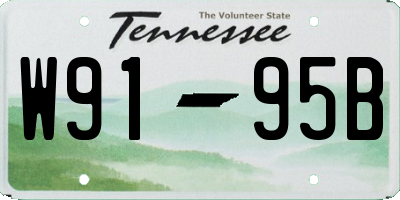 TN license plate W9195B