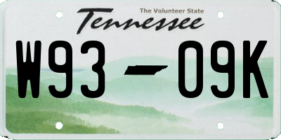 TN license plate W9309K