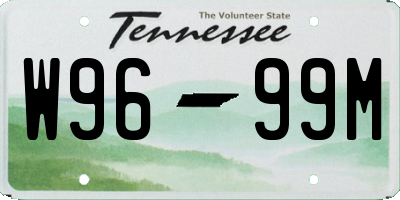TN license plate W9699M