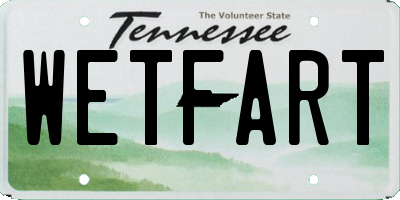 TN license plate WETFART