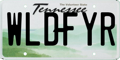 TN license plate WLDFYR