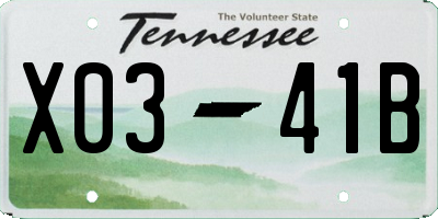 TN license plate X0341B