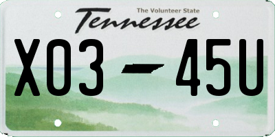 TN license plate X0345U