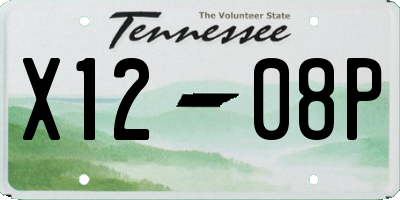 TN license plate X1208P