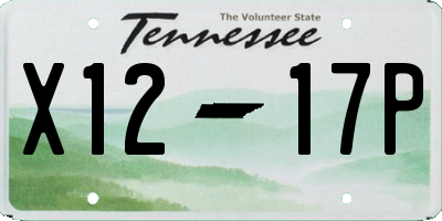 TN license plate X1217P