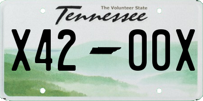 TN license plate X4200X