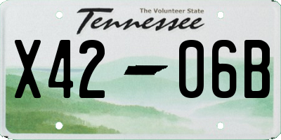TN license plate X4206B