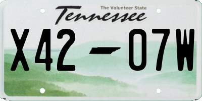 TN license plate X4207W