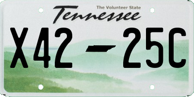 TN license plate X4225C