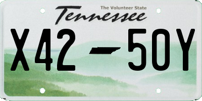TN license plate X4250Y