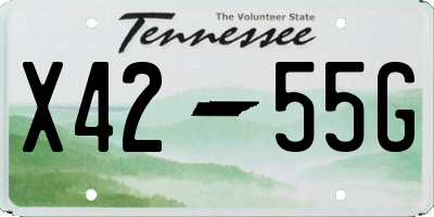 TN license plate X4255G
