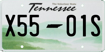 TN license plate X5501S