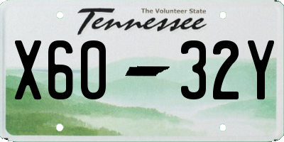 TN license plate X6032Y