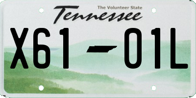 TN license plate X6101L