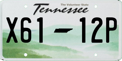 TN license plate X6112P
