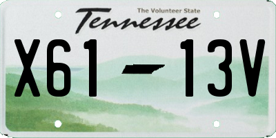 TN license plate X6113V