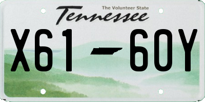 TN license plate X6160Y