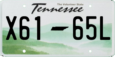 TN license plate X6165L