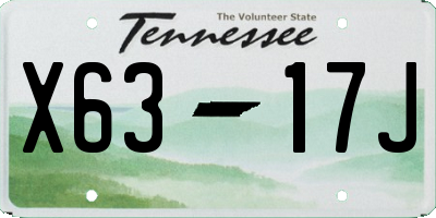 TN license plate X6317J