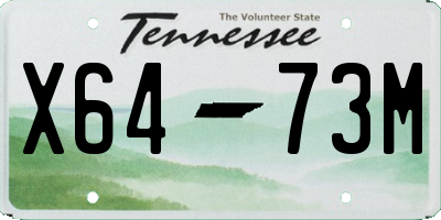 TN license plate X6473M
