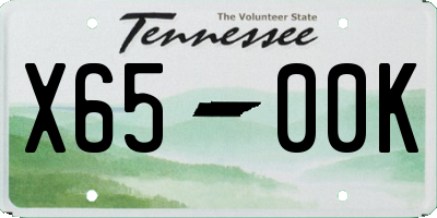 TN license plate X6500K