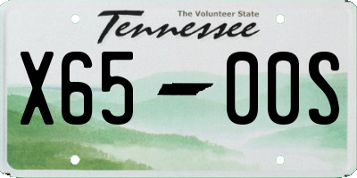 TN license plate X6500S
